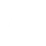 AIG.webp